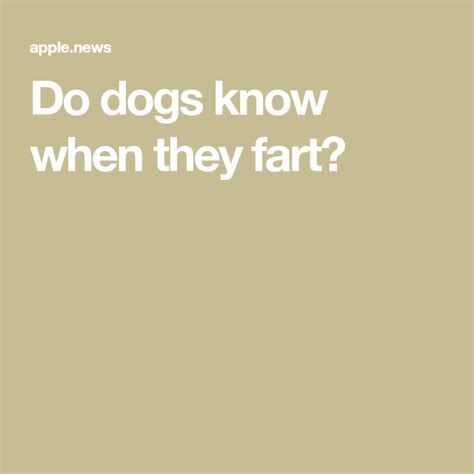 dog fart bbc